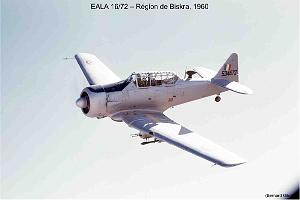 190- ARMEE DE L'AIR EN ALGERIE 1945-1962-38 (57)